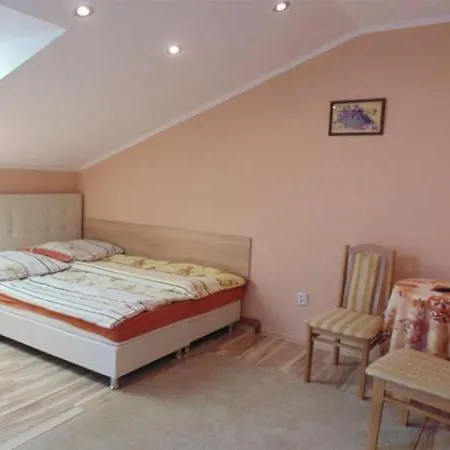Villa Goscinne Mira-s *